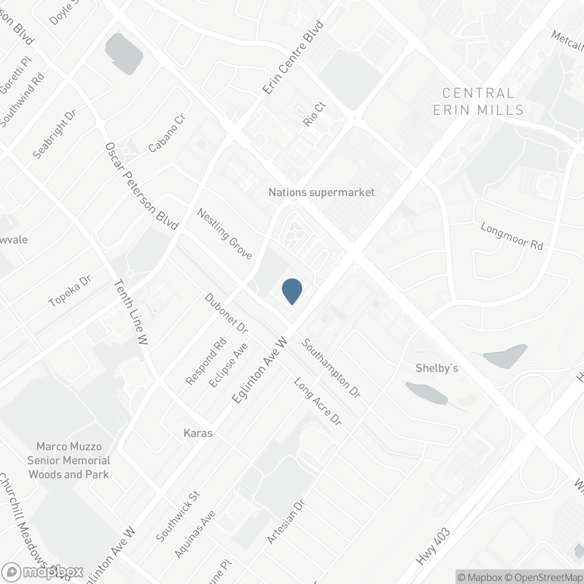 100 - 5035 OSCAR PETERSON BOULEVARD N, Mississauga, Ontario L5M 0P4